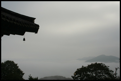 용암사 대웅전 뒤에서 내려다 본 운해 